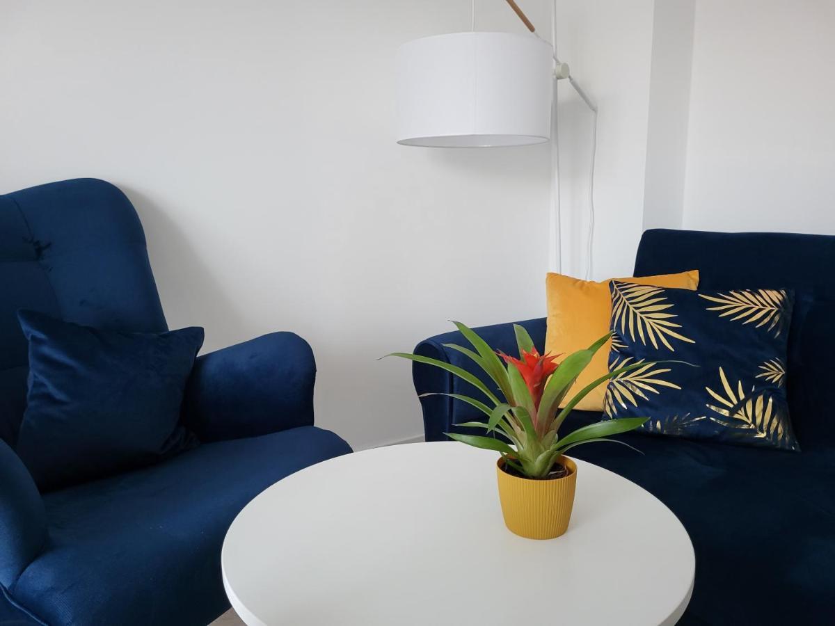 Apartament Z Widokiem-Blizej Zdroju ポラニツァ・ズドゥルイ エクステリア 写真