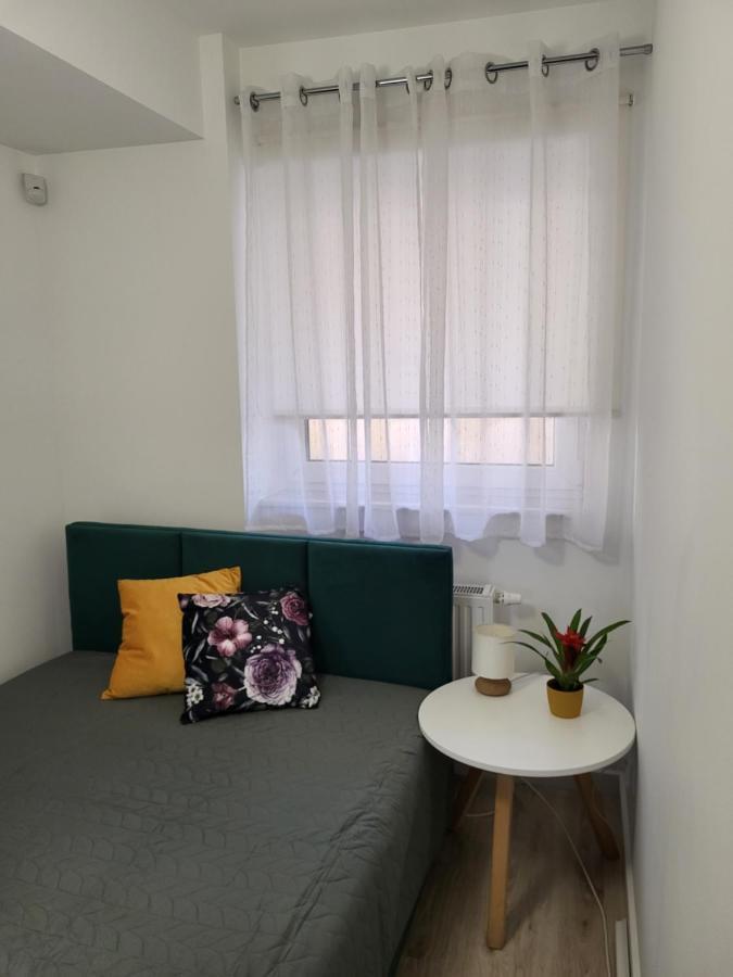 Apartament Z Widokiem-Blizej Zdroju ポラニツァ・ズドゥルイ エクステリア 写真