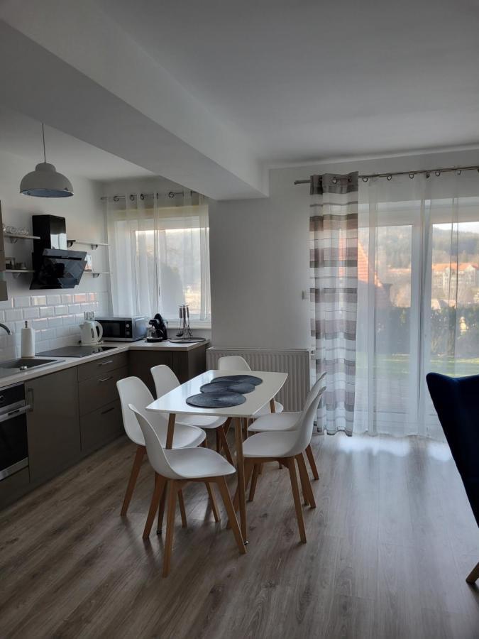 Apartament Z Widokiem-Blizej Zdroju ポラニツァ・ズドゥルイ エクステリア 写真