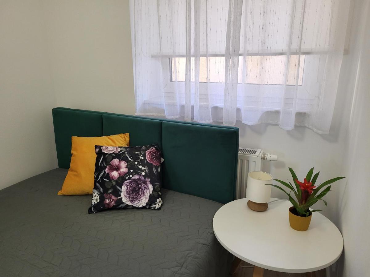 Apartament Z Widokiem-Blizej Zdroju ポラニツァ・ズドゥルイ エクステリア 写真