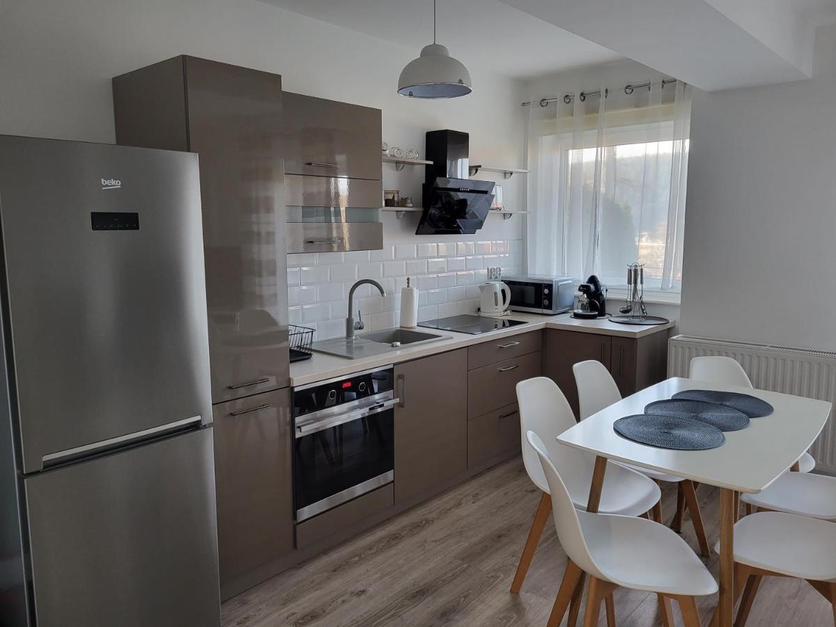Apartament Z Widokiem-Blizej Zdroju ポラニツァ・ズドゥルイ エクステリア 写真