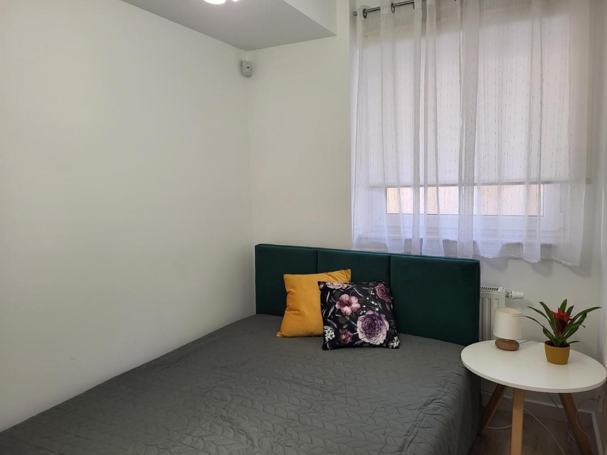 Apartament Z Widokiem-Blizej Zdroju ポラニツァ・ズドゥルイ エクステリア 写真