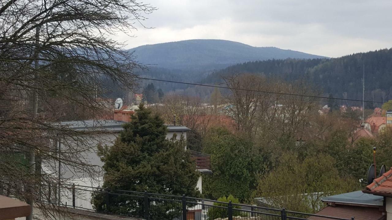 Apartament Z Widokiem-Blizej Zdroju ポラニツァ・ズドゥルイ エクステリア 写真