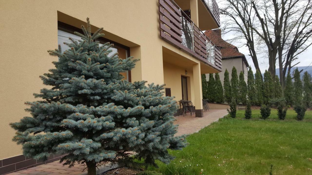 Apartament Z Widokiem-Blizej Zdroju ポラニツァ・ズドゥルイ エクステリア 写真
