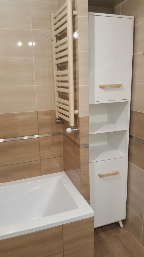 Apartament Z Widokiem-Blizej Zdroju ポラニツァ・ズドゥルイ エクステリア 写真